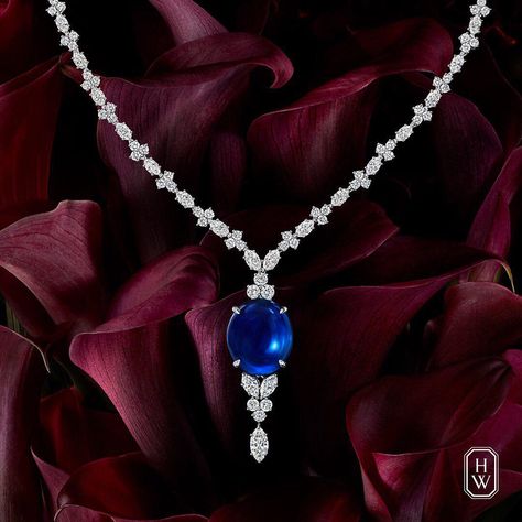 7,557 Likes, 37 Comments - Harry Winston (@harrywinston) on Instagram: “Fall for the mesmerizing beauty of a deep blue cabochon sapphire of hypnotic allure. #HarryWinston…” Harry Winston Necklace, Winston Blue, Blue Diamond Necklace, Mesmerizing Beauty, Harry Winston, High Jewelry, Blue Diamond, Deep Blue, Luxury Jewelry