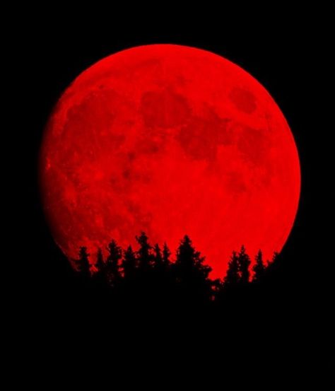 There will be four Blood Moons in the next two years. The first will be the visible in the early morning of April 15. Check local times. Red And Black Wallpaper, Dark Red Wallpaper, Shoot The Moon, Moon Pictures, October 8, Red Moon, Blood Moon, Beautiful Moon, Red Art