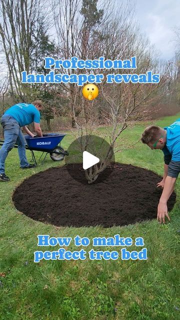 Erie Pennsylvania Landscape Company on Instagram: "Here's how we make the perfect tree bed as professional landscapers #garden #landscaping #satisfying #treebed #tutorial #ye #love #tree #treebed #gardenbed #mulch #mulching #treemulching" Garden Bed Around Tree Ideas, Mulch Stone Landscaping, Brick Tree Ring Landscape, Tree Mulch Ideas, Tree Bed Landscaping, Flowerbed Around Tree, Tree Flower Bed Ideas, Around The Tree Landscaping Ideas, Around Tree Landscaping