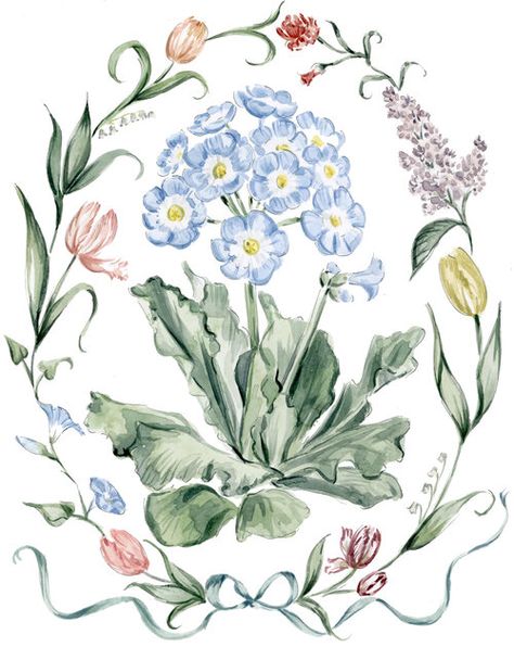 Riley Sheehey, Colors 2023, Illustration Ideas, Botanical Watercolor, Watercolor Flower, Flower Illustration, Floral Illustrations, Botanical Illustration, Pretty Art