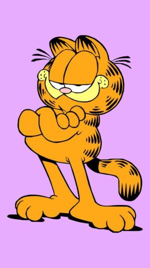 Garfield Wallpaper, I Hate Mondays, Hate Mondays, Crash Test, Friend Crafts, Yellow Cat, Unique Cats, Vintage Cartoon, Fall Wallpaper