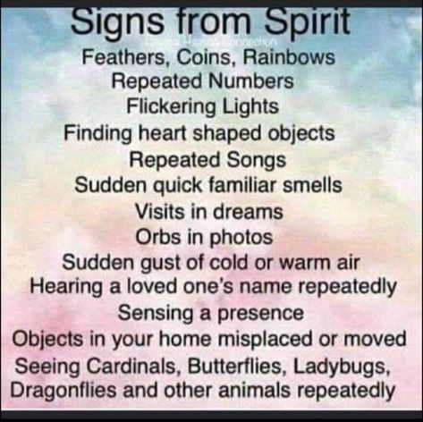 Orbs In Photos, Native American Quotes Wisdom, Native American Beliefs, Native Quotes, Native American Mythology, American Indian Quotes, Spirit Animal Meaning, American Proverbs, Native American Prayers