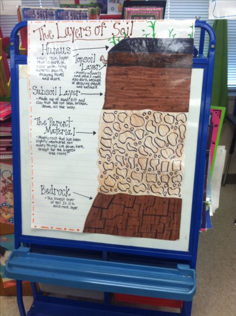 The Layers of Soil Anchor Chart- 3rd Grade Science Standard Layers Of Soil, 3rd Grade Science, Land Forms, Grade 3 Science, Soil Science, Fourth Grade Science, Science Anchor Charts, Second Grade Science, Science Boards