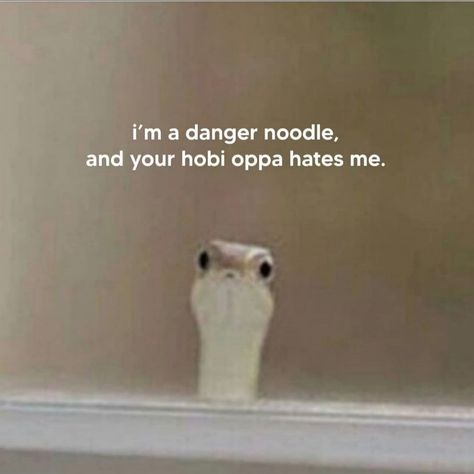 Haha I’m In Danger, Goofy Animals, Danger Noodles, Danger Noodle, Cute Reptiles, Animal Photos, Cute Animal Photos, Funny Meme, Animal Photo