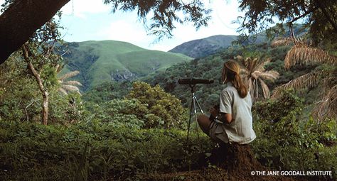 Environmental Scientist, Conservation Biology, Wildlife Biologist, Jane Goodall, Photography Day, Environmental Conservation, Charles Darwin, Famous Photographers, Female Photographers