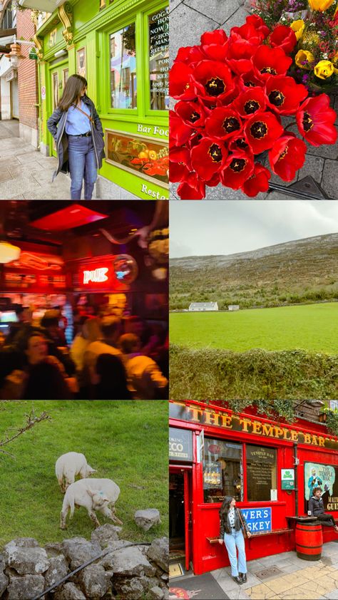 #ireland #dublin #irlanda #irish #aesthetic #galway #cork #belfast Belfast Aesthetic, Irish Aesthetic, Ireland Dublin, Galway, Belfast, More Pictures, All Pictures, Dublin, Cork