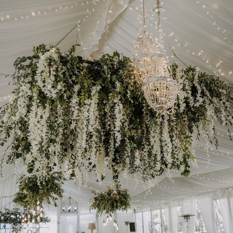 ✨ There’s something magical about a tented wedding, isn’t there? Under these hanging wisteria and surrounded by love – it's a dream come true. 🌟💍 #IDoDetails  #LoveInTheDetails #WeddingVibes  #WeddingInspo Hanging Garden Wedding, Overhead Wedding Decor, Hanging Wedding Greenery, White Flowers Hanging From Ceiling, White Hanging Flowers Wedding, Hanging Wedding Florals, Flowers From Ceiling Wedding, Wisteria Hanging From Ceiling, Hanging Wisteria Wedding