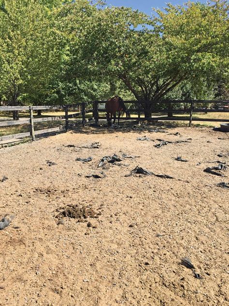 Vet's Top 10 Mud Tips | Horse&Rider Paddock Footing, Muddy Horse, Mud Control, Mud Management, Horse Pens, Horse Paddock, Horse Corral, Paddock Paradise, Horse Arena