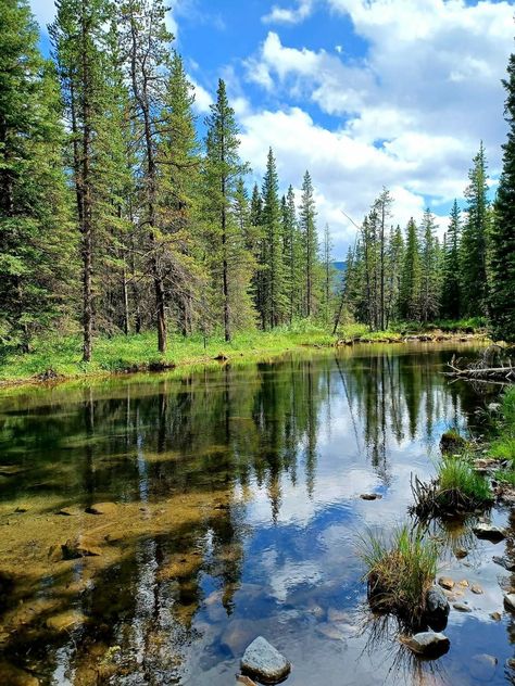 Canada Forest, Canada Nature, Canada Landscape, Alberta Canada, Mountain Landscape, Paddle Boarding, Pretty Pictures, Beautiful Places, Abc