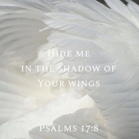 Hide me in the shadow of Your wings .Psalms 18:7. Bible Verse Hide Me In The Shadow Of Your Wings, Healing In His Wings, In The Shadow Of Your Wings, Songbird Quotes, Angel Bible Verses, Wings Bible Verse, Warrior Princess Quotes, Angels Bible, Quote Printables