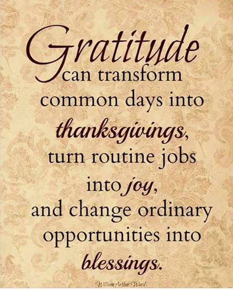 So true!! Thanksgiving Sunday, Thanksgiving Quotes Inspirational, Tuesday Blessings, Thanksgiving Gratitude, Giving Quotes, 100 Quotes, Quotes That Inspire, School Info, Thanks Giving