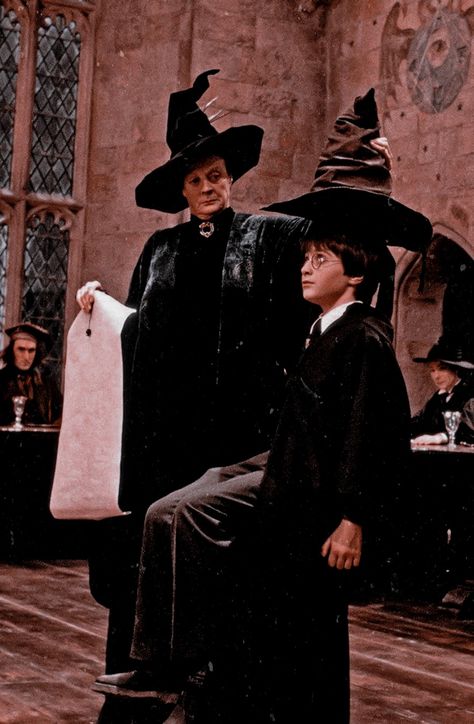 Film Harry Potter, Philosophers Stone, The Sorcerer's Stone, Potter Facts, Maggie Smith, Newt Scamander, Harry James, Harry James Potter, Lord Voldemort