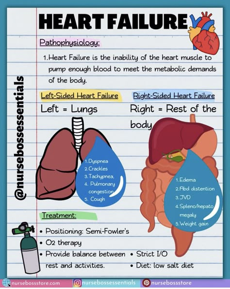 Paramedic School, Nursing Information, Nursing School Essential, Nursing School Motivation, Basic Anatomy And Physiology, Nurse Study Notes, Nursing Mnemonics, Nursing Student Tips, Medical Surgical Nursing