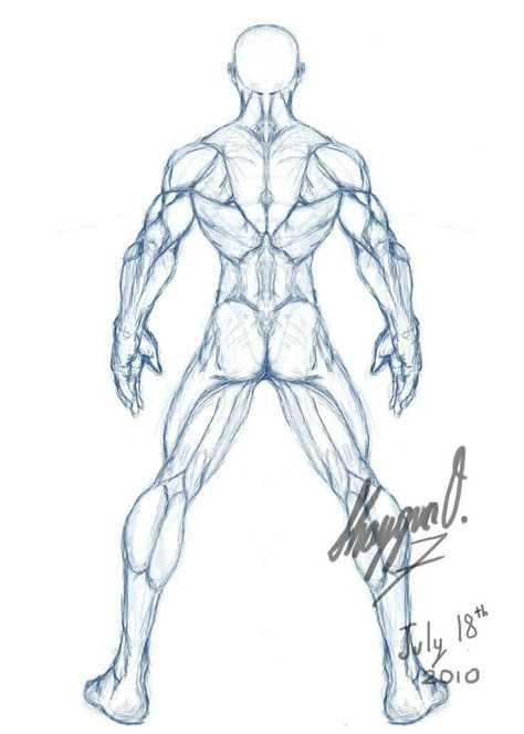 Anatomy Template, Drawing Male Anatomy, Back Anatomy, Drawing Male, Male Figure Drawing, Male Anatomy, Man Anatomy, Human Anatomy Drawing, Body Sketches