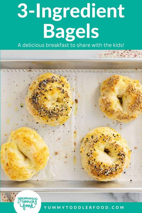 Four bagels on baking sheet after baking. No Yeast Bagel Recipe, Yeast Bagels, 3 Ingredient Bagels, Easy Bagels, Easy Toddler Lunches, Baking With Toddlers, Bagel Recipe Easy, Bagels Recipe, Easy Toddler Meals