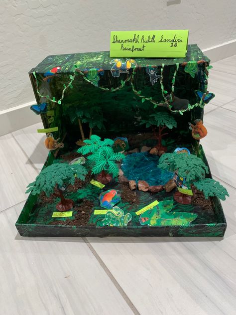 Shoe Box Art Projects, Tropical Rain Forest Shoe Box Project, Shoe Box School Project Ideas, Shoe Box Set Design Project, Diorama Habitat, Shoe Box Art, Shoe Box Diorama, Jungle Habitat, Biome Project