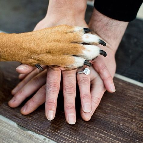 Hands Of The Family Stacked Together Engagement Announcement Creative Engagement Announcement, Engagement Ring Instagram, Engagement Announcement Photos, Creative Wedding Invitations, Wedding Types, Royal Blue Wedding, Instagram Engagement, Engagement Announcement, Photo Couple