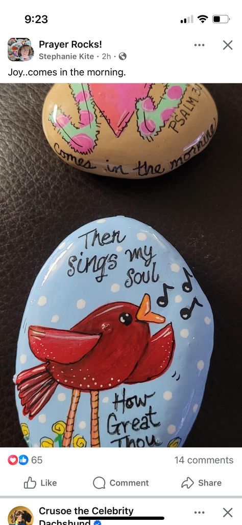 Prayer Rocks, Psalm 30, Anything Is Possible, Get Well, Painted Rocks, Dachshund, Psalms, Singing, Paint