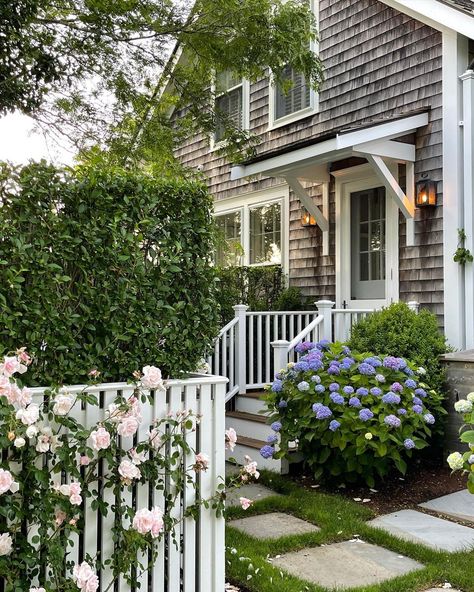 Landscape Roses, Nantucket Gardens, New Dawn Climbing Rose, Maine Garden, Cottage Architecture, Beautiful Nature Landscape, Colonial Garden, Nantucket Cottage, Nantucket Summer