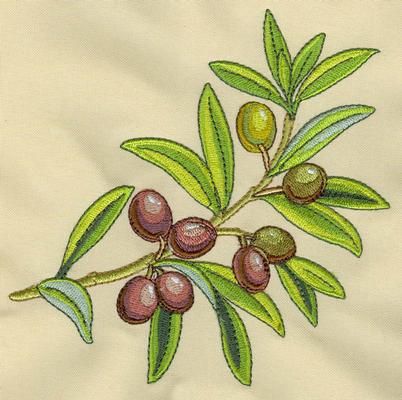 Set with embroidery designs of olive Olive Embroidery, Embroidery Olive Branch, Olive Embroidery Patterns, Olive Cross Stitch Pattern, Ivy Embroidery Pattern, Oak Tree Branch Embroidery Pattern, Embroidery Design Sets, Soyut Sanat Tabloları, Olive Tree