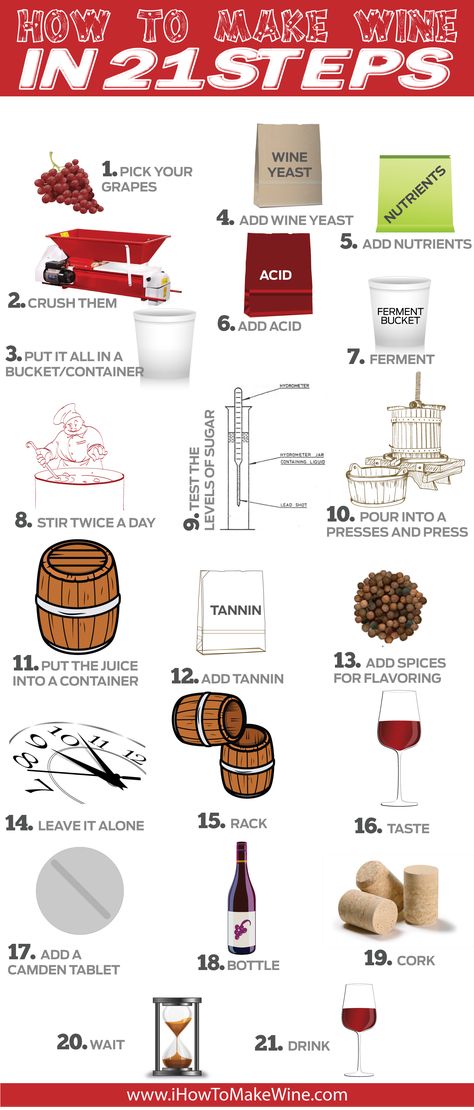 How to Make Wine in 21 Steps   #HowTo #Wine #infographic Time Management Infographic, Wine Infographic, How To Make Wine, Grape Picking, Wine Yeast, Infographic Layout, Marketing Real Estate, Food Infographic, Homemade Wine