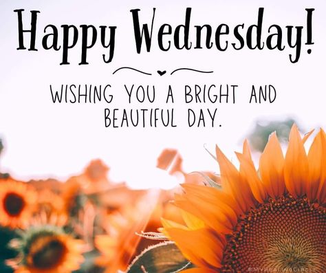 Fall Wednesday Quotes, Fall Wednesday, Wednesday Fall, Wednesday Morning Greetings, Weekly Quotes, Wednesday Greetings, Wednesday Wishes, Memory Quotes, Morning Wednesday