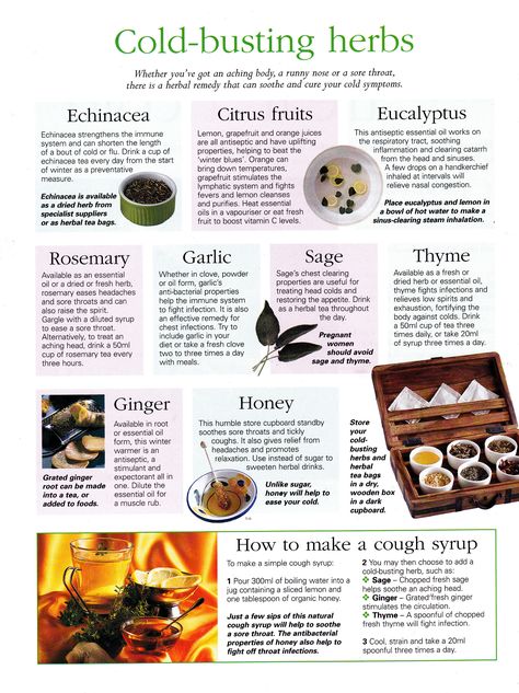 Essential Oils Herbs, Herbal Recipes, Herbal Healing, Leg Pain, Herbs For Health, Cold Remedies, Healing Food, Homemade Remedies, Healing Herbs