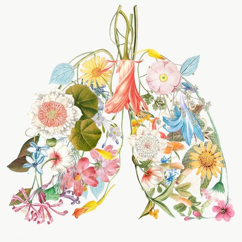 Floral Lungs, Lungs Art, Recycle Symbol, Globe Icon, Water Illustration, Free Illustration Images, Free Hand Drawing, Flower Illustration, Clean Air