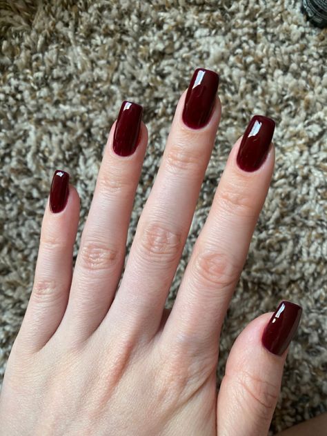 She is showing her nails which are short, square shaped, and dark red Nail Designs Square Shape Classy, Dark Red Nails Polish, One Color Nails Winter, Deep Red Square Acrylic Nails, Dark Nails Colors, Super Dark Red Nails, Manicure Dark Colors, Dark Cherry Red Nails Square, Nail Colors Maroon