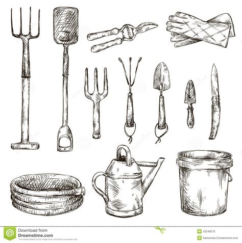 Photo about Set of gardening tools drawings, vector illustration EPS 10. Illustration of garden, gloves, agriculture - 42246575 Tools Art, Garden Tool Organization, Painting With Acrylics, Watercolour Ideas, Garden Illustration, Garden Drawing, Garden Tool Storage, Thriving Garden, Zentangle Doodle