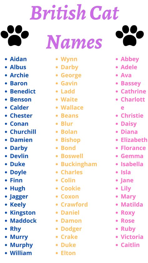 70+ Top British Cat Names. These are just used on the British cats. Male Cats Name, Male Dog Names List, Cat Names List, Cat Names Aesthetic, Cat Names Unique, Aesthetic Cat Names, British Cats, Cute Pet Names, British Cat