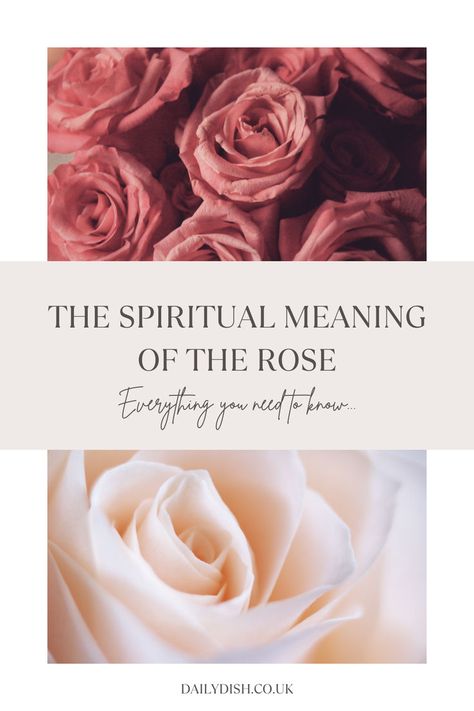 The Spiritual Meaning Of The Rose Rose Meaning, Feminine Symbols, Divine Love, Sacred Feminine, Spiritual Meaning, Divine Feminine, The Rose, Ritual, Lush