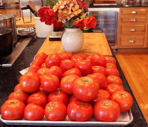 How to Use Your Tomato Harvest: Canning Beefsteak Tomatoes – Homemade Italian Cooking Steak Tomatoes, Harvest Meals, Tomato Harvest, Canning 101, Beefsteak Tomato, Organic Tomatoes, Canning Tomatoes, Garden Veggies, Homemade Italian