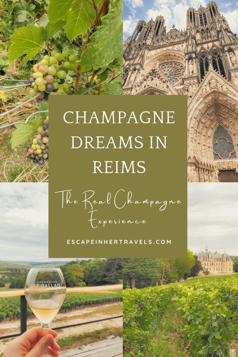 Post about the true champagne experience in France. Visiting small vineyards, cathedrals, castles! Champagne France Travel, Champagne Region France, France Honeymoon, Paris Travel Photography, Champagne France, Best Champagne, France Itinerary, Champagne Region, France Travel Guide