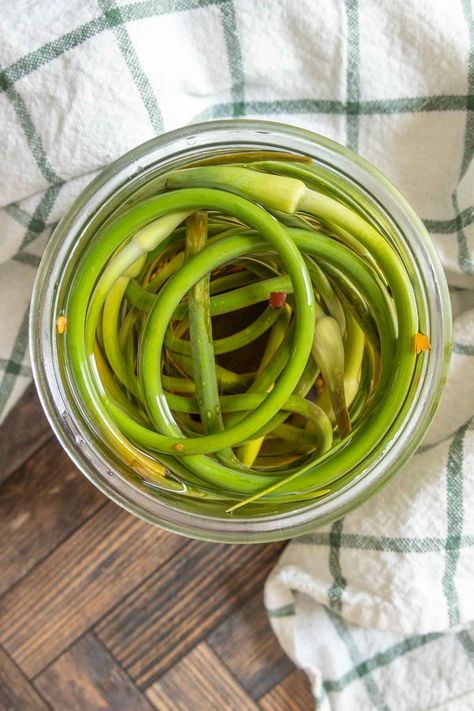 Take advantage of the short garlic scape season to pickle them! These tangy scapes are excellent alongside burgers or in soups. Pickled Garlic Scapes, Pickling Salt, Garlic Scapes, Pickled Garlic, Refrigerator Pickles, Water Bath Canning, Garlic Bulb, Recipe Cover, Snack Board