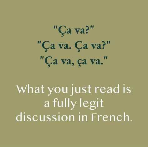 #language #french French Meme, Funny French, Language French, French Quotes, Foreign Languages, Oui Oui, Learn French, Learning Languages, Cat Memes