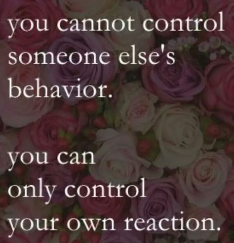 You can't control someone else's behavior. You can only control your reaction to it. Passive Aggressive People, Passive Aggressive, Quotes Life, Quotable Quotes, The Words, Great Quotes, Mantra, Inspirational Words, Life Lessons