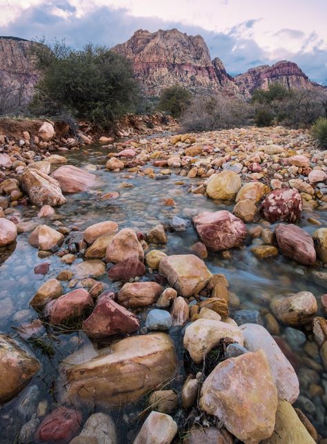 Travel and landscape photography tips at first Creek redrock canyon Nevada Las Vegas Creek Photography, Landscape Photography Tips, Photography Travel, Photography Techniques, Las Vegas Nevada, Digital Photography, Photography Tips, Nevada, Grand Canyon