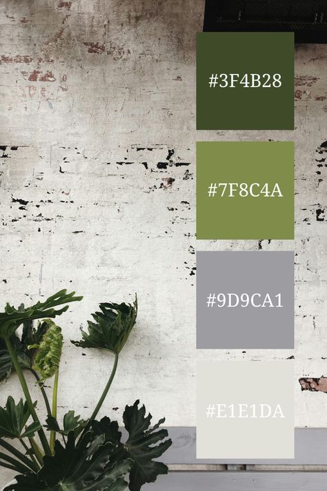 A rustic scene with a rough grey brick wall and deep green monstera leaves. The muted tones of the wall contrast beautifully with the lush green, creating a natural and earthy aesthetic. Gym Colour Palette, Green And Grey Aesthetic, Green And Gray Color Palette, Grey Brick Wall, Color Scheme Generator, Color Generator, Flip Image, Earthy Aesthetic, Victorian Terrace House