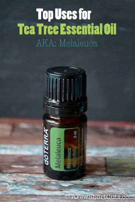 Top uses for Tea Tree Essential Oil AKA Melaleuca #health #natural Tea Tree Oil Uses, Essential Oil Remedy, Oil Remedies, Doterra Oils, Oil Benefits, Tea Tree Essential Oil, Oil Uses, Aromatherapy Oils, Essential Oil Uses