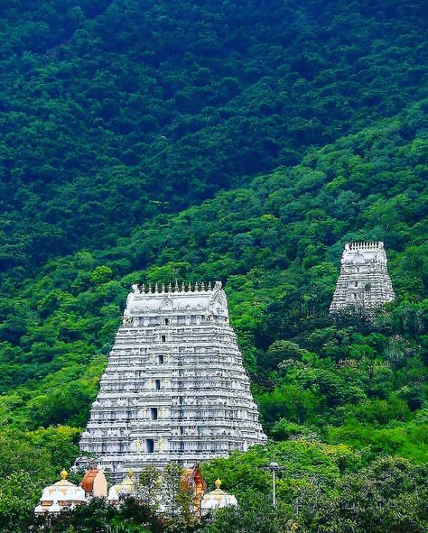 Tirumala Temple Images, Tirupathi Temple Images, Thirumala Thirupathi Temple, Andhra Pradesh Culture, Thirupathi Temple, Tirupati Temple, Tirumala Venkateswara, Tirumala Venkateswara Temple, Venkateswara Swamy Images Hd 1080 Wallpaper