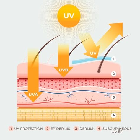 Safety Infographic, Massage Images, Sun Skin Care, Summer Skincare Routine, After Sun Care, Tips For Summer, Online Scrapbook, Sun Safety, Vector Infographic