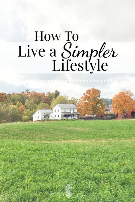 Do you wish that your life would just slow down a little bit? That you could capture the life that you've always dreamed about but instead seem to be caught up in the busyness of day-to-day living? Here are 14 actionable steps towards simpler living that you can start right now. #simple #simpleliving #simplelife #homesteading #simplerliving Simple Homestead, Live A Simple Life, Living Simple Life, Happy Homemaking, Simple Living Lifestyle, Living Simple, Christian Homemaking, Cozy Life, A Simple Life