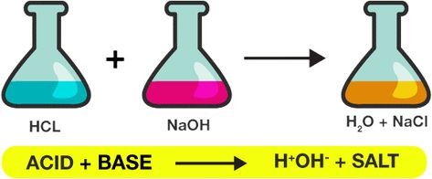 Class 7 Science Notes, Acids Bases And Salts, Cabbage Juice, Chemistry Basics, Chemistry Set, Magnesium Hydroxide, Acid Base, Science Notes, Latin Words