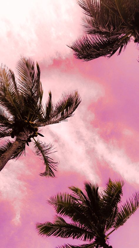 Palm Trees Wallpaper, Pretty Backgrounds, Ocean Wallpaper, Picture Collage Wall, Sunset Wallpaper, Beautiful Nature Wallpaper, Summer Wallpaper, Picture Collage, Pink Sky