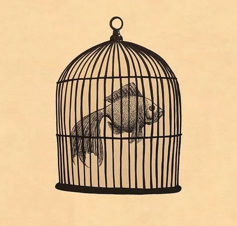 Fish In A Birdcage, Birdcage Drawing, Birdcage Tattoo, Cage Tattoos, Dorm Posters, Band Merch, A Train, Bird Cage, Spotify Song