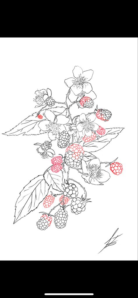 Berry Tattoo Sleeve, Berries And Flowers Tattoo, Blackberry Shoulder Tattoo, Flower And Fruit Tattoo, Flower Bush Tattoo, Blackberry Tattoo Design, Black Berries Tattoo, Berry Vine Tattoo, Blackberry Bush Tattoo