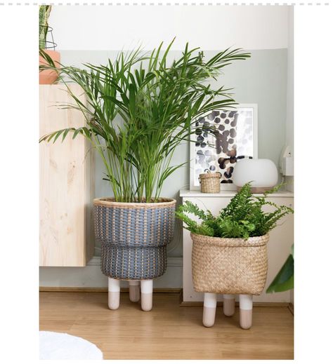 Ikea Plants, Hacks Ikea, Ikea Products, Ikea Furniture Hacks, Decor Ikea, Diy Ikea Hacks, Best Ikea, Basket Planters, Furniture Hacks