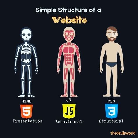 Computer Notes, Basic Computer Programming, Computer Science Programming, Web Development Programming, Data Science Learning, Learn Computer Science, Learn Web Development, Learn Computer Coding, Computer Science Engineering