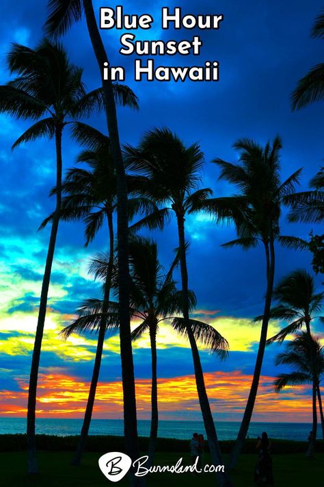 The setting sun creates orange tones among the blue tones of the clouds and the sky, silhouetting palm trees on the shore on the island of Oahu in Hawaii.

#travel #travelphotography #hawaii #sunset #oahu Sunset In Hawaii, Sunsets Hawaii, Hawaii Sunset, Aulani Resort, Early Photos, The Setting Sun, Disney Aulani, Orange Tones, Cocoa Beach